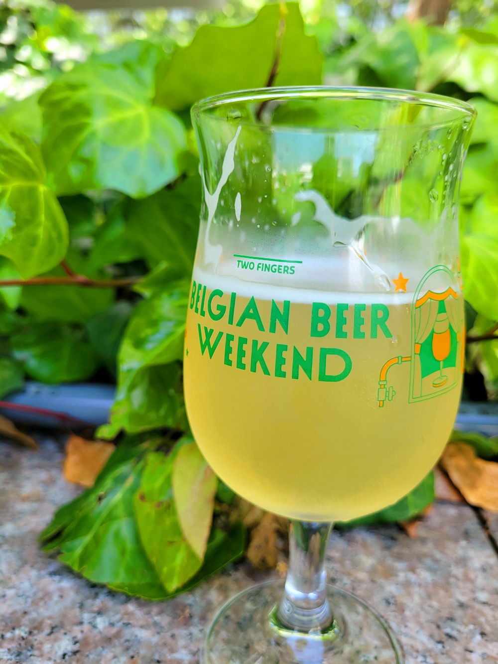 2024年初夏の近況報告