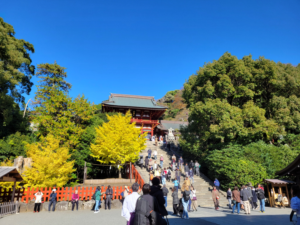 11/29 VST酒場鎌倉オフ会＆11/30 横浜赤レンガ倉庫スケッチ